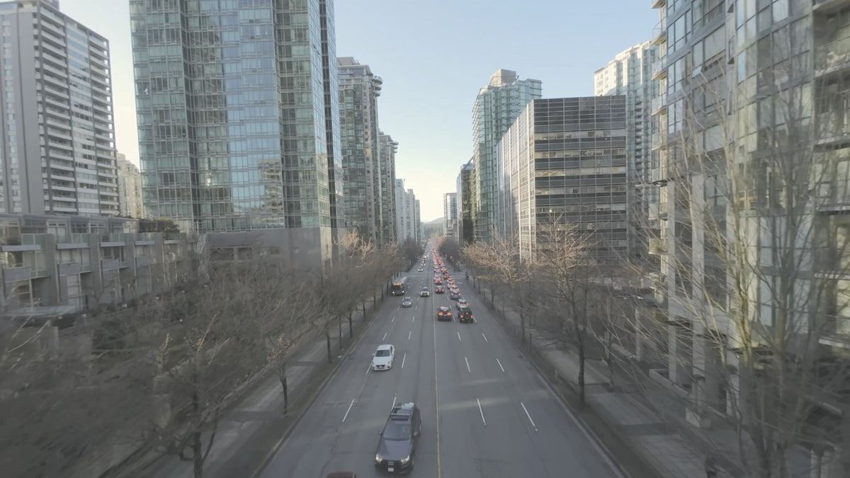Golden Fade, ungraded