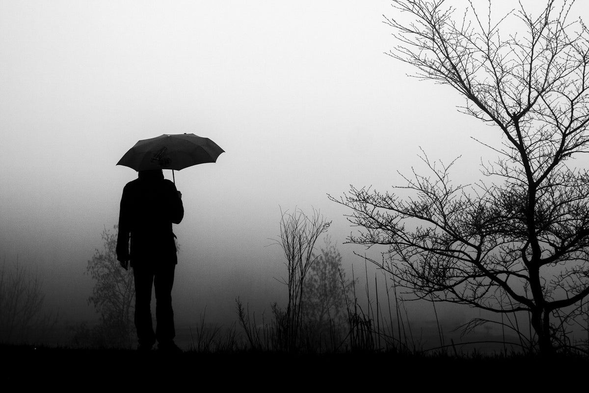 Fallen Light