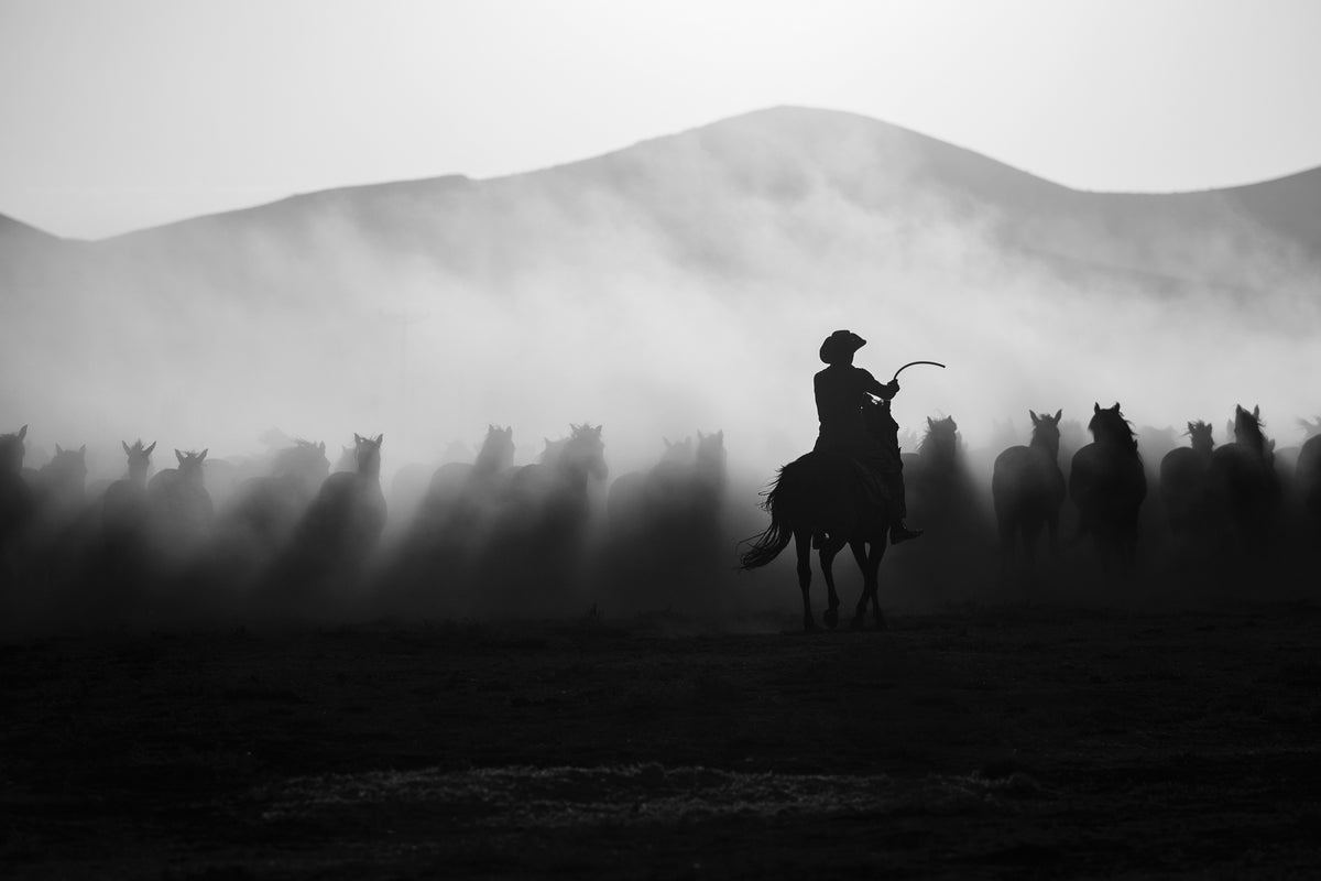 Desert Light, ungraded