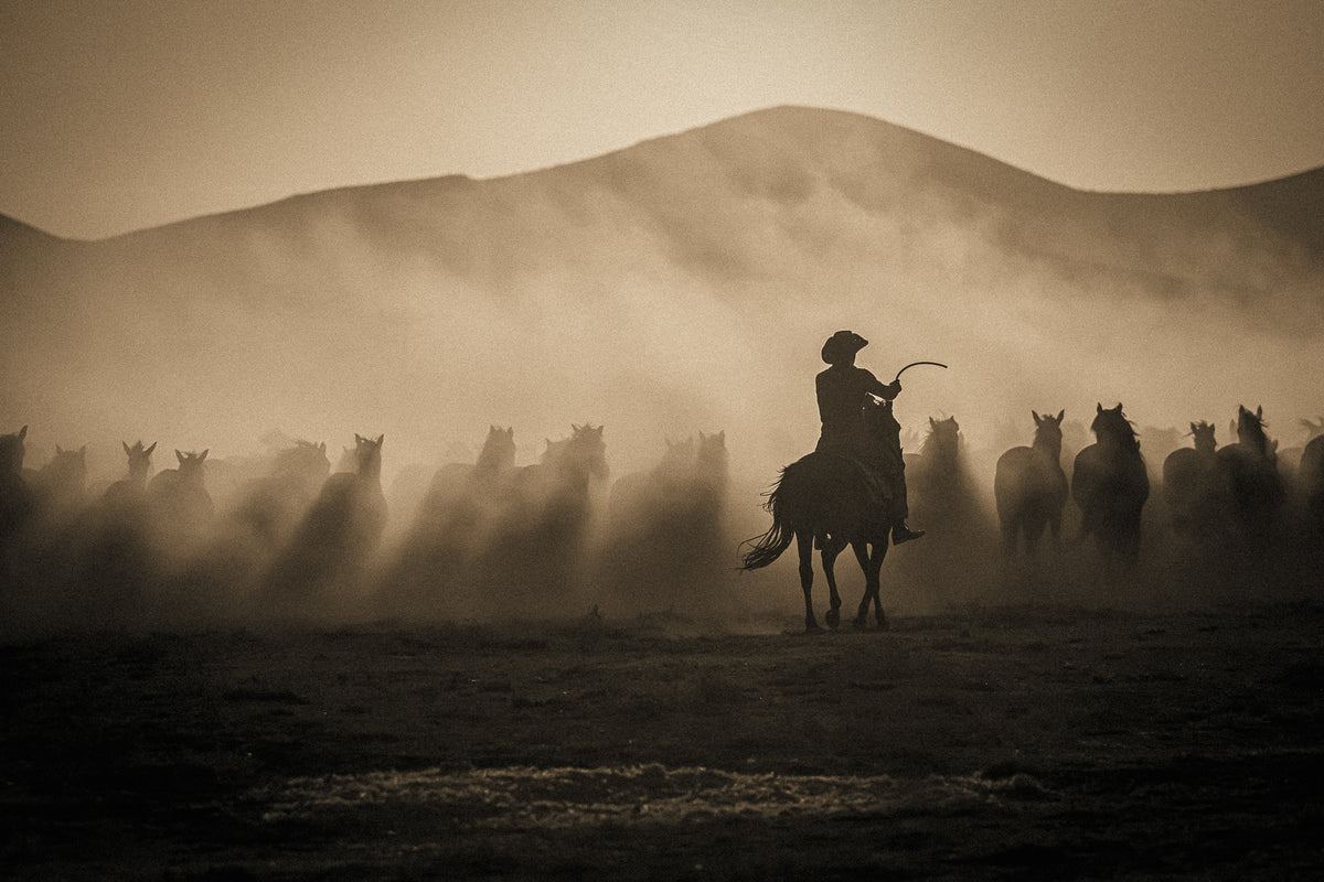 Desert Light, graded